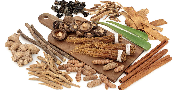 Adaptogens for Peak Fitness and Recovery