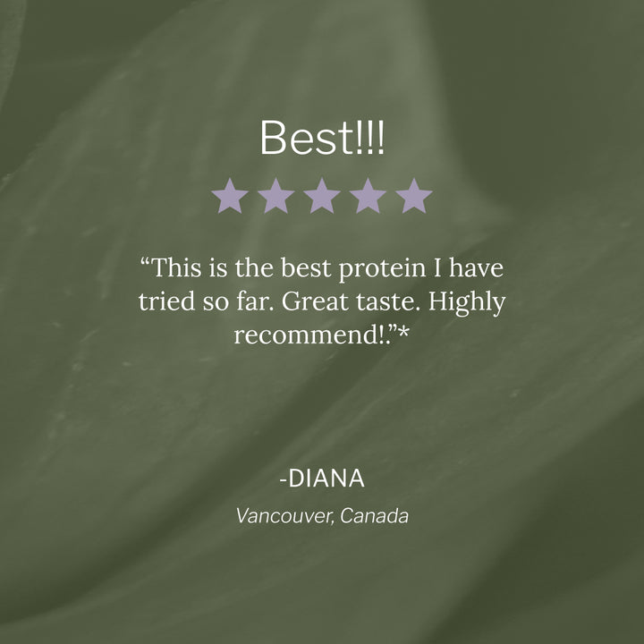 Organic Plant-Based Protein